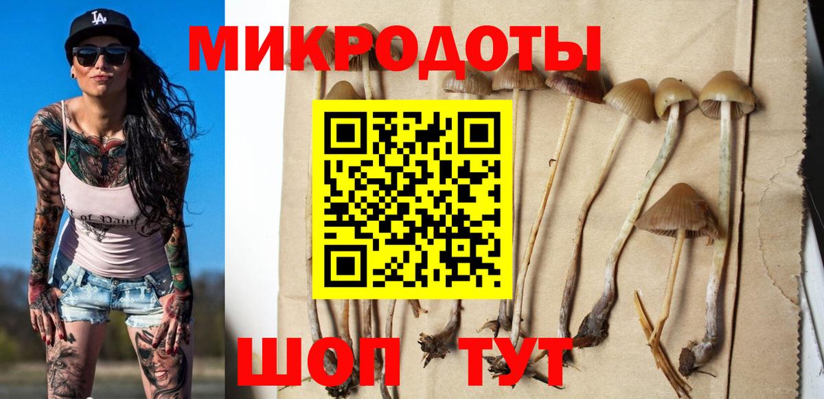 Галлюциногенные грибы Cubensis  Вход с VPN  сколько стоит  Уварово 